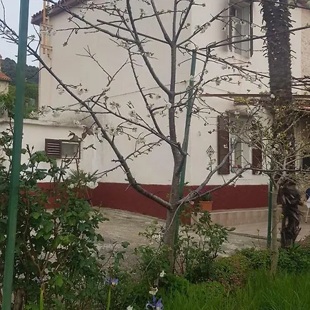 House Milevoj Koromacno